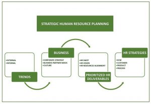 Strategy human resource department