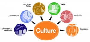 cultural objectives