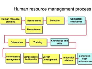 human resource process