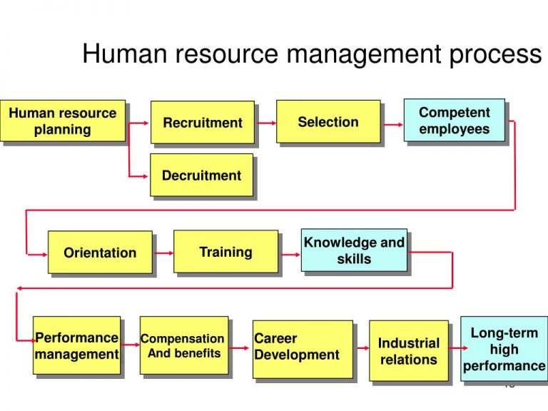 What are some good examples of human resources? - HRM Softworks