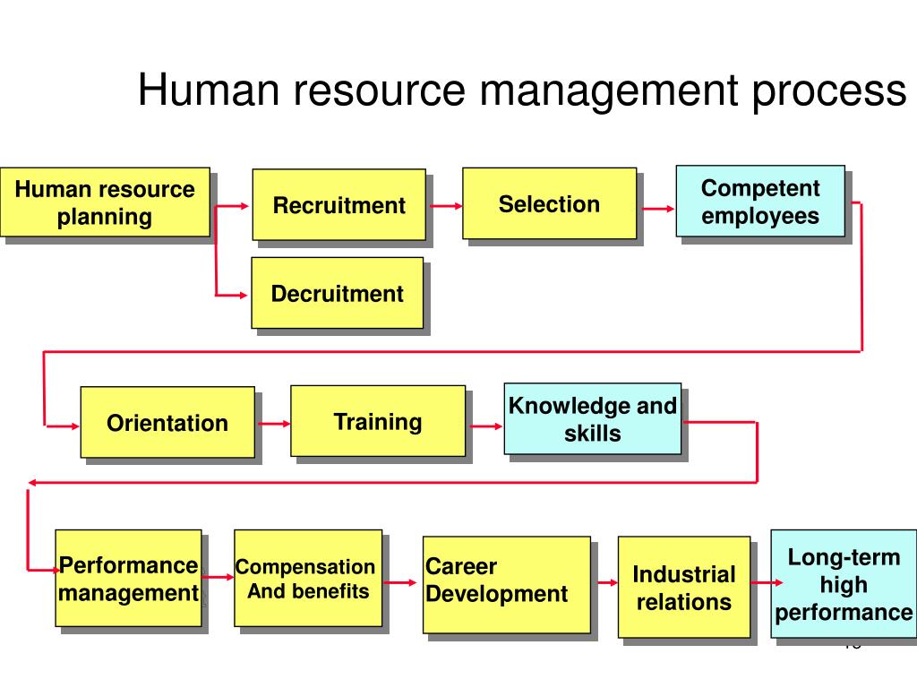 Use Case Diagram For Human Resource Management System vrogue co