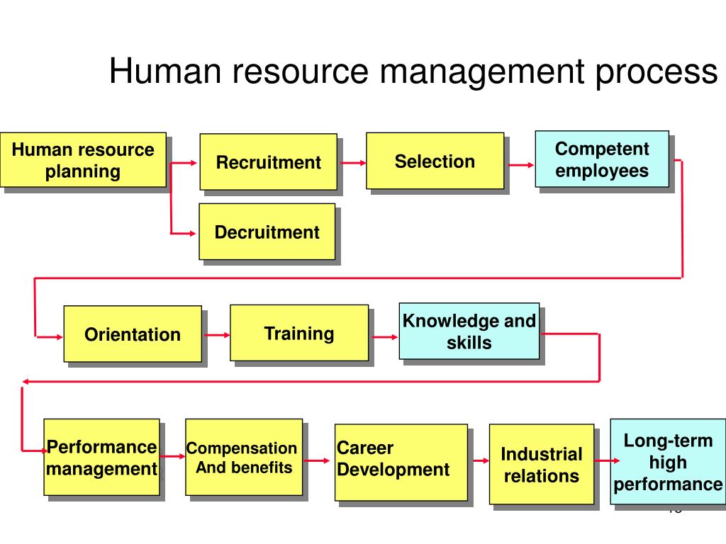 Use Case Diagram For Human Resource Management System Vrogue co